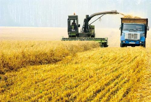 中俄农产品贸易-贸邦认证