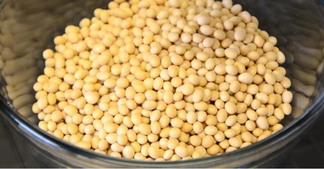 6f061d950a7b02083d058cb66078a6d5552cc8c4