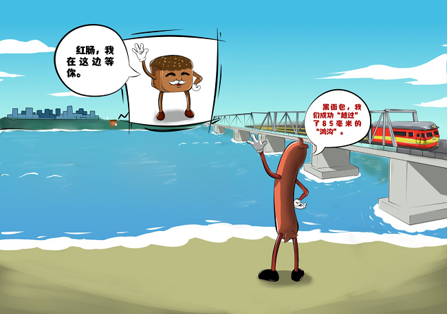 中俄两国首座跨江铁路大桥