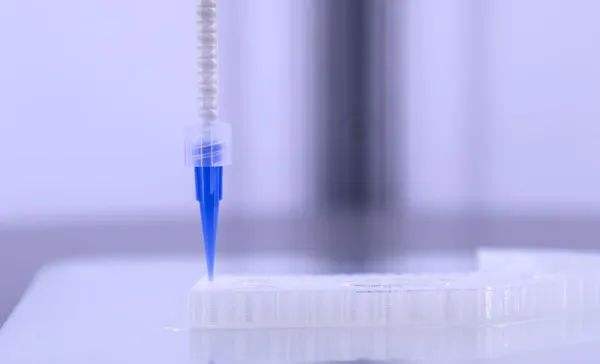 d6c6bb614fb9bfb817beb567211c41e8 d6c6bb614fb9bfb817beb567211c41e8